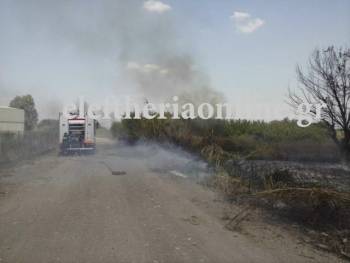 Φωτιά κοντά στη ΒΙΠΕ Καλαμάτας (βίντεο)