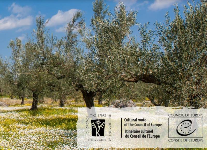 Μήνυμα του οργανισμού “Δρόμοι της Ελιάς” για την σημερινή Παγκόσμια Ημέρα