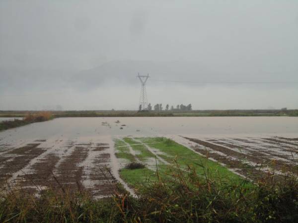 Επί Τάπητος: Πλημμύρα και παραγωγική ανασυγκρότηση του κάμπου