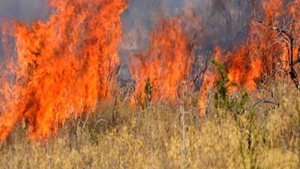 Σε εξέλιξη πυρκαγιά στην Ανατολική Μάνη