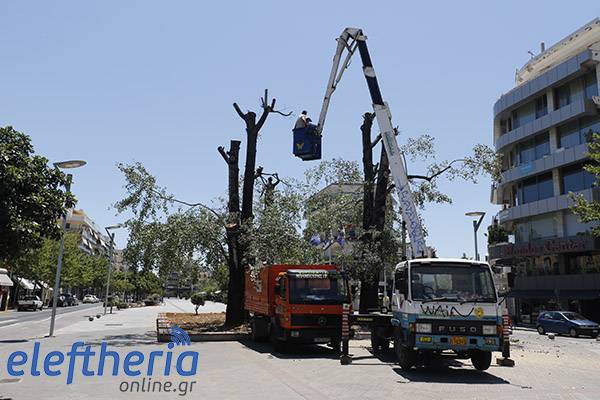 Πράσινο και διαχείριση κινδύνων