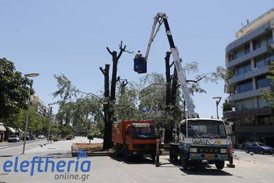 Πράσινο και διαχείριση κινδύνων