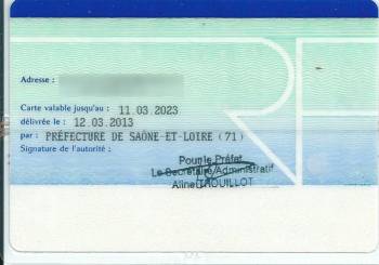 Γκανέζος με πλαστή ταυτότητα στο αεροδρόμιο της Καλαμάτας