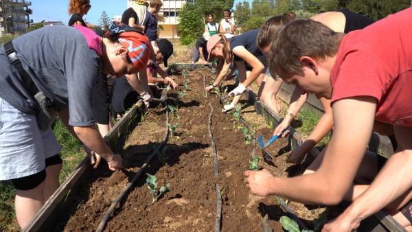 Ο «Κήπος» και το «Βοτάνι» της Λυσούς: Ολα ξεκίνησαν από μια δωρεά