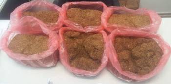 Απάτη, λαθραία, κλοπές και ναρκωτικά σε αστυνομική επιχείρηση σε Λακωνία και Αργολίδα