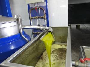 Παρασκευόπουλος: "Ουσιαστικός έλεγχος για διασφάλιση του ΠΟΠ Καλαμάτα"