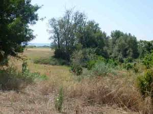 Με 4 γέφυρες πάνω από το "Τυφλό": Ανοιξε ο δρόμος για το "Grace"