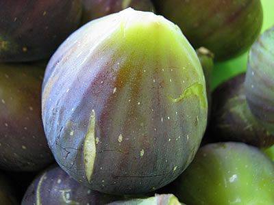 Αισιόδοξες εκτιμήσεις για την παραγωγή σύκων στη Μεσσηνία