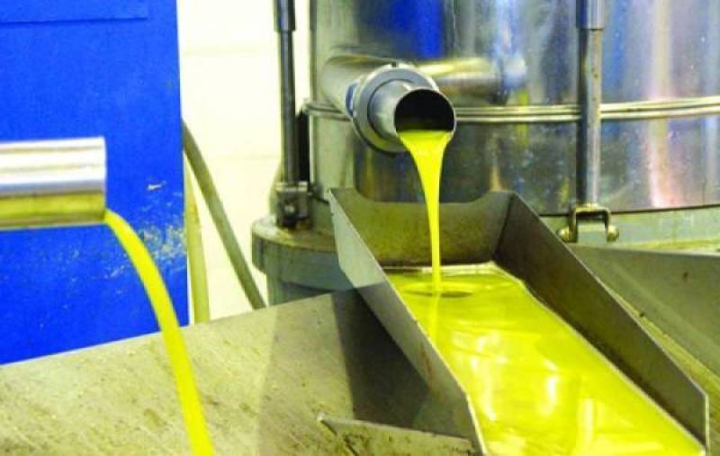 Eurostat: 50% υψηλότερη από πέρυσι η τιμή του ελαιολάδου