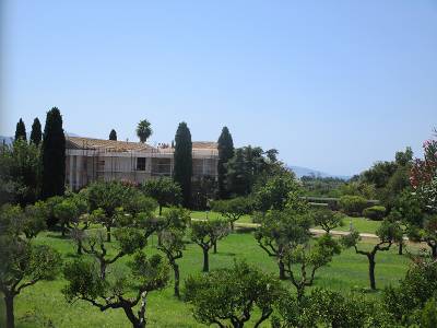 Στο κτήμα, που δώρισε η Ασημίνα Καρέλια: Εργασίες για τα παιδιά της “Κιβωτού του Κόσμου” στην Καλαμάτα