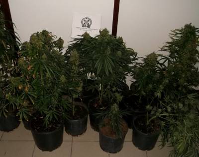 Ελεύθεροι οι 3 συλληφθέντες για το χασίς στον Μπουρνιά