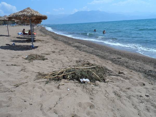 Οι δημότες ζητούν περισσότερη καθαριότητα και φροντίδα