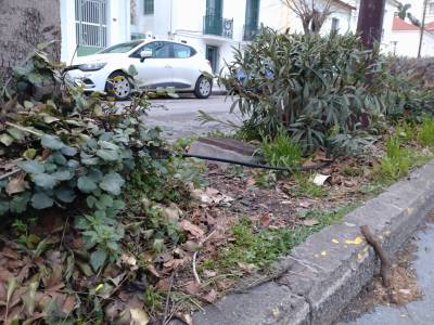 Σωληνάκια παγίδες