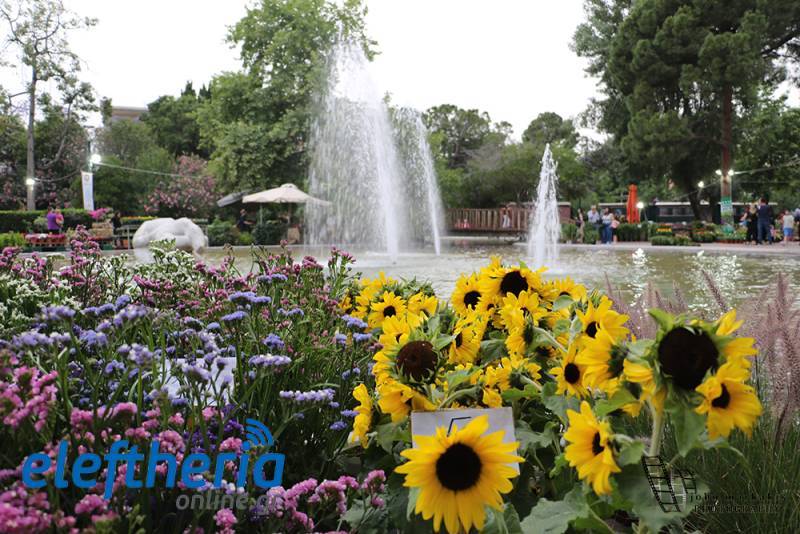 Ξεκινά σήμερα η 12η Ανθοκομική Εκθεση του Δήμου Καλαμάτας