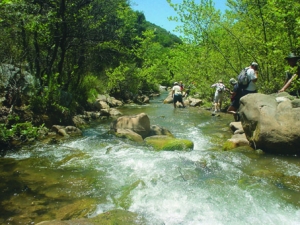 Τοπικοί σύλλογοι θα καθαρίσουν τη Νέδα