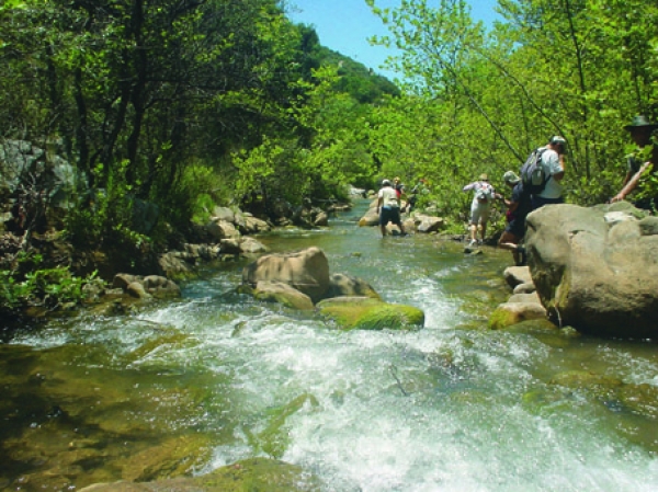 Τοπικοί σύλλογοι θα καθαρίσουν τη Νέδα