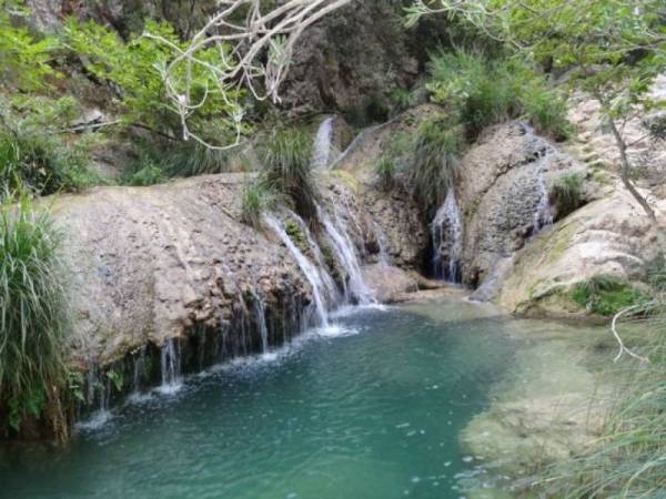 Μεσσηνία: Καταδικάστηκαν δύο δασικοί για το Πολυλίμνιο