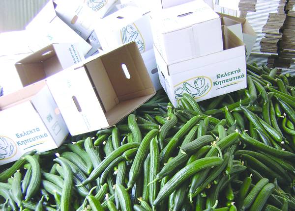 Κανονικά η διακίνηση αγροτικών προϊόντων της Τριφυλίας