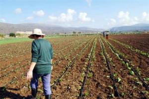 Παράνομες οι παρακρατήσεις των κοινοτικών επιδοτήσεων