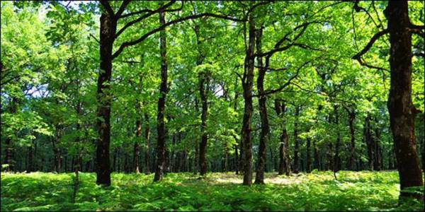 Εξόρμηση του Ευκλή στην Ηλεία