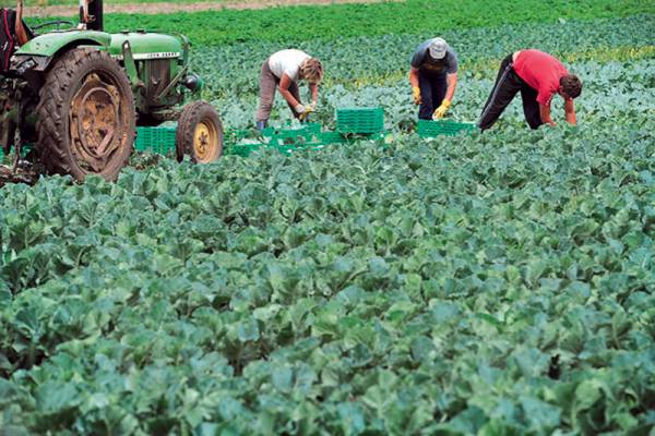 Κόβουν τις συντάξεις για να αλλάξει χέρια ο αγροτικός κλήρος