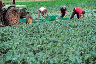 Κόβουν τις συντάξεις για να αλλάξει χέρια ο αγροτικός κλήρος