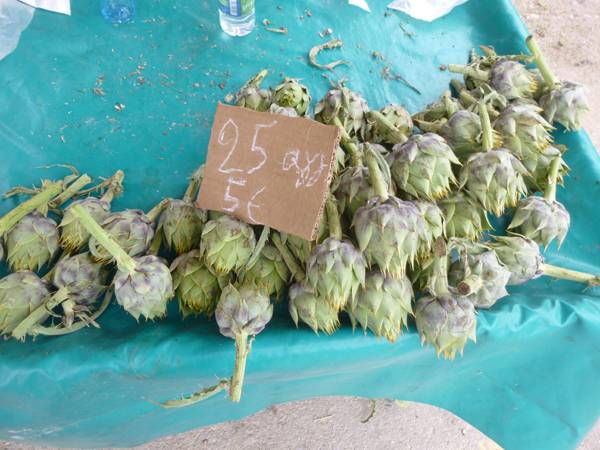 Χαμηλή τιμή για τις αγκινάρες