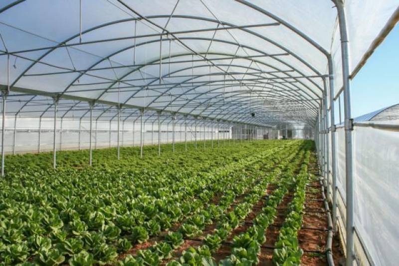 ΣΥΝΕΡΓΑΣΙΑ ΠΑΝΕΠΙΣΤΗΜΙΟΥ ΚΑΙ ΠΕΡΙΦΕΡΕΙΑΣ ΠΕΛΟΠΟΝΝΗΣΟΥ: Γεωργική σχολή στα Φιλιατρά
