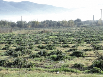 Ο Δήμος Καλαμάτας και το ενδιαφέρον για την ύπαιθρο