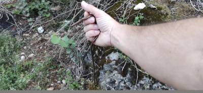 Ακίνδυνα ερπετά...