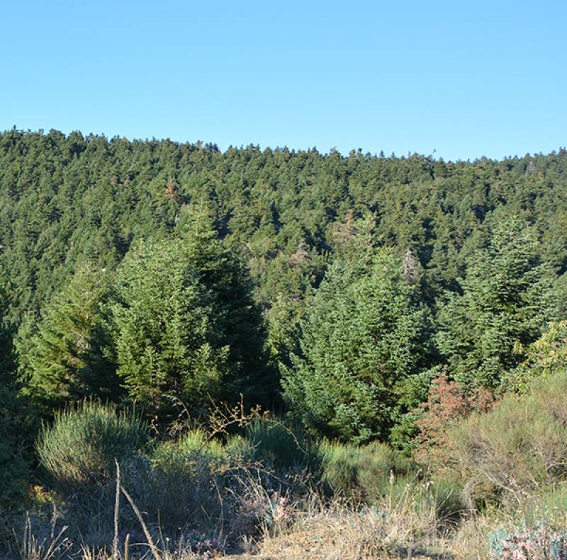 Ν. Παΐσιος: Οι κοινές ευρωπαϊκές εκπαιδεύσεις μάς έχουν δώσει μια κοινή «γλώσσα» στο πεδίο