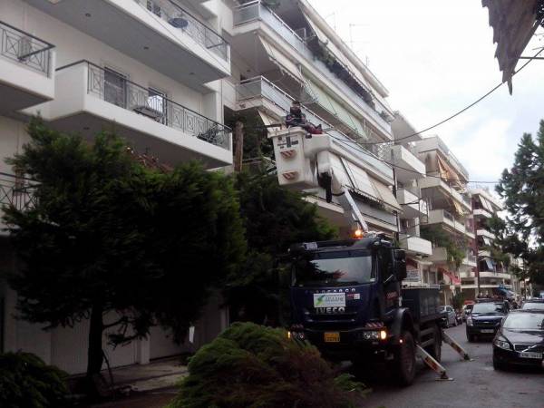 Καλαμάτα: Εκοψαν δένδρα επικίνδυνα για τα καλώδια της ΔΕΗ (βίντεο)