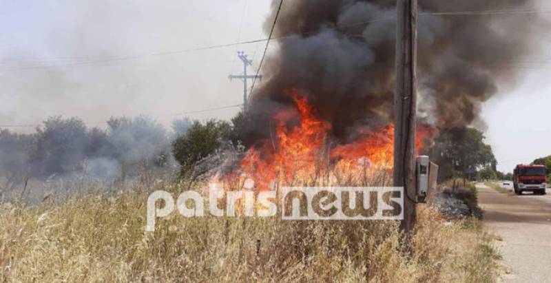 Σε εξέλιξη φωτιά στην Κάτω Αχαΐα (βίντεο)
