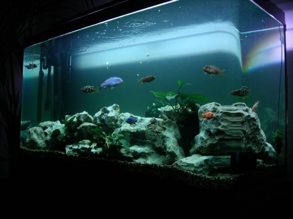 Σύσκεψη για δημιουργία ενυδρείου στην Καλαμάτα