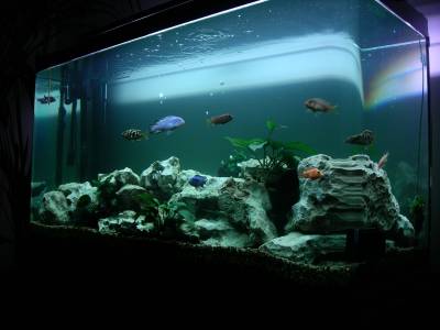 Σύσκεψη για δημιουργία ενυδρείου στην Καλαμάτα