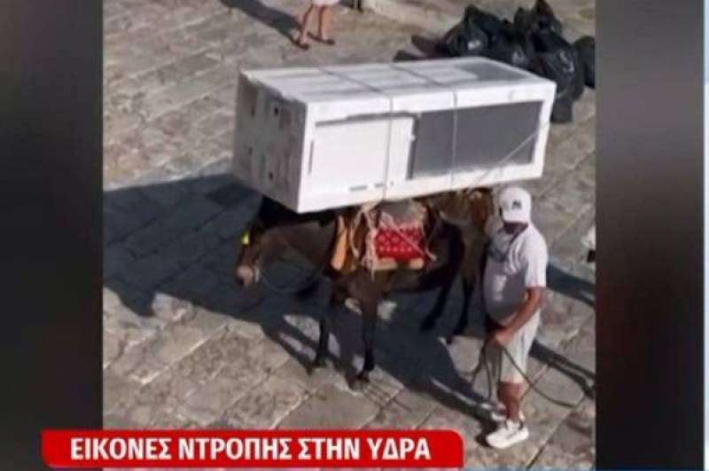 Εικόνες ντροπής: Γαϊδουράκια στην Ύδρα κουβαλάνε μέχρι και ψυγεία (Βίντεο)