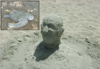 Kυπαρισσία: Δημιουργίες στην άμμο