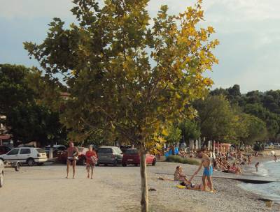 Μεγάλο ρίσκο για να σωθεί η παρτίδα