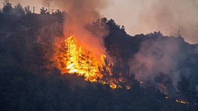 Μεσσηνία: Υποψίες για νέο εμπρησμό στο Βασιλίτσι