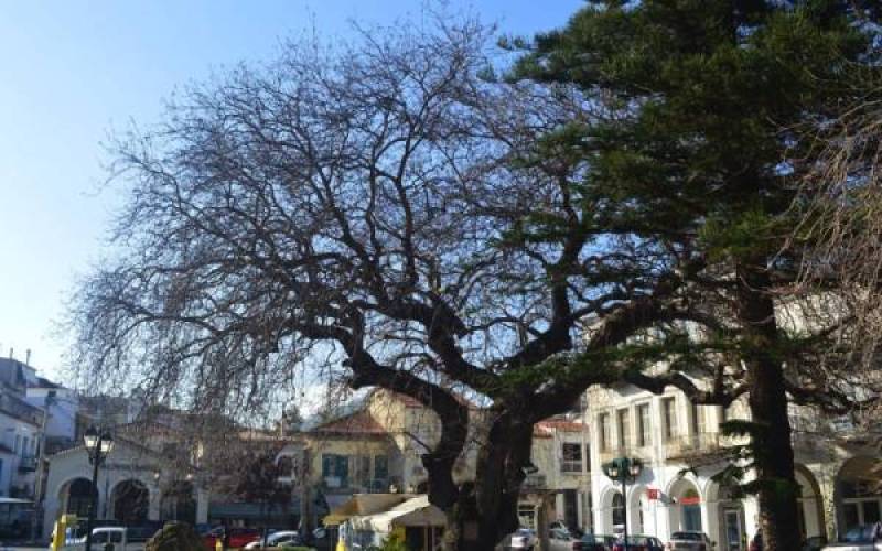 Προτάσεις για την πλατεία Τριών Ναυάρχων στην Πύλο