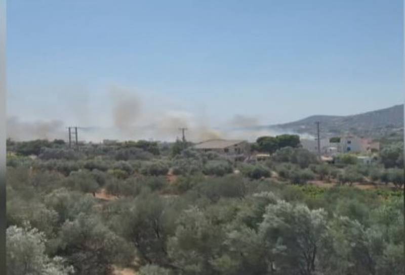 Υπό έλεγχο η φωτιά σε Ανάβυσσο και Παλαιά Φώκαια (βίντεο)