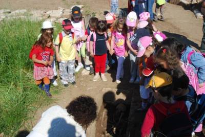 Συντήρηση και κοινό