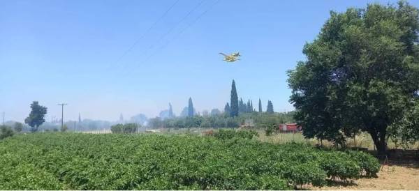 Πυρκαγιά στην περιοχή Χάβαρι Αμαλιάδας