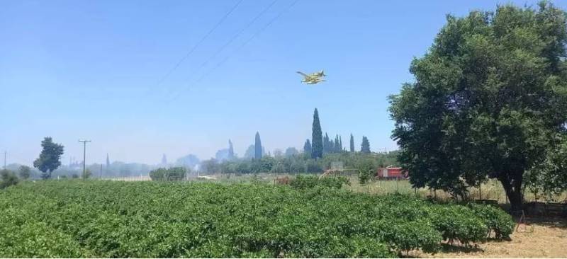 Πυρκαγιά στην περιοχή Χάβαρι Αμαλιάδας