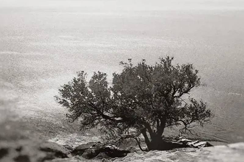 "Δέκα εκατοστά" της Μαριλένα Παπαϊωάννου