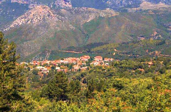 "Πάμε Βόλτα" στην Αρτεμισία