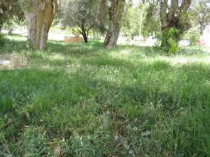 Πλήρης εγκατάλειψη