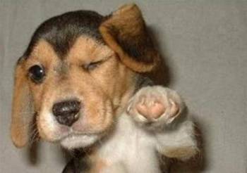 Για αυτούς που λύνουν τα προβλήματά τους με φόλες