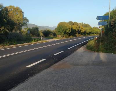 Απέκοψαν Αρτίκι και Αγριλιά