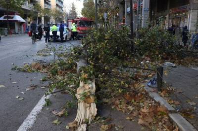Θεσσαλονίκη: Πτώσεις δεκάδων δέντρων και πινακίδων από τους ισχυρούς ανέμους (βίντεο)